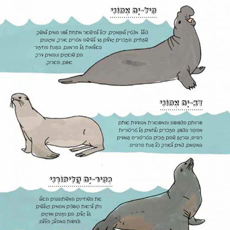 תמונה ממוזערת 2