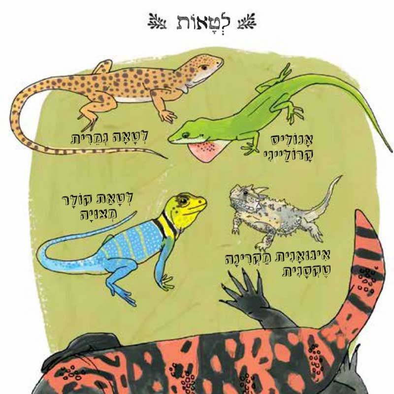 תמונת מוצר 4